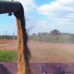 Soybean Futures Hit 10-Month High on Trade Hopes and Tax Credit Proposal