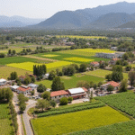 State of Mexico Betting on Aguacates, Mezcal, and Flowers to Revitalize Southern Municipalities