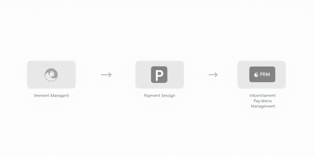 a diagram of the three stages of a payment management system, with the text prm - payment relationsh