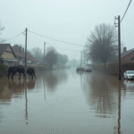 Heavy Rains in Argentina Cause Flooding, Leaving One Dead and Three Missing