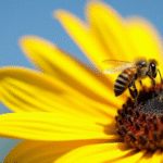 World Bee Day: 9 Key Points on the Environmental, Social, and Economic Importance of Bees