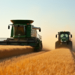 Grain Futures Rise in Chicago Mercantile Exchange Amid Weather and Trade Uncertainties