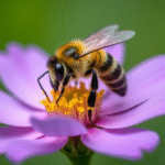 Mexico Faces Serious Threats to Its Pollinators: A Crucial Time for Conservation and Understanding Their Importance