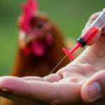 Jalisco’s Unique Approach to Avian Influenza Threat: Emphasizing the Need for Stronger Health Agencies