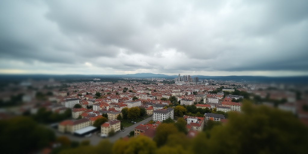 a city with a lot of buildings and trees in the foreground and a cloudy sky in the background, Cefer