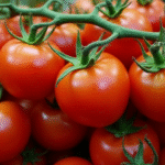 Over 200,000 Jobs at Risk Due to Potential Tomato Tariff on Mexico in the US Market