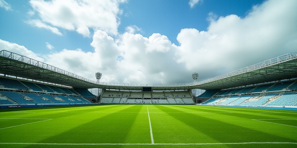 a large stadium with a green field and a sky background with clouds in the sky and a few people stan