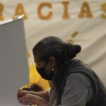 Older Adults Show Higher Voter Turnout in Elections, While Youth Participation Drops