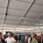 Feria de Afores 2025: Top 5 Trámites at the Zócalo in Mexico City