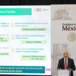 Pemex to Leverage Private Sector Strategies by 2035: Rodríguez Padilla