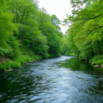 Puebla Authorities Present Progress on Atoyac River Sanitation Investment
