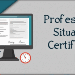 What is the Professional Situation Certificate and How to Apply for It?
