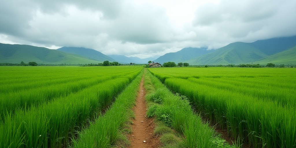 Three Key Changes Needed in Our Food System to Avoid Planetary Overexploitation