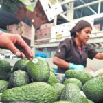 Trump Removes Tariffs on Avocados and Other Agricultural Products