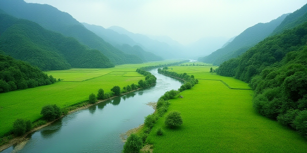 a river running through a lush green countryside next to a lush green field and a forest filled with