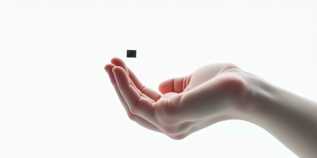 South Korea’s AI Chip Boom Drives Record-Breaking Export Surge in January